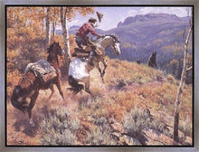 Load image into Gallery viewer, Bear Country
