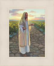 Load image into Gallery viewer, Source of Light
