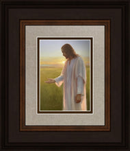 Load image into Gallery viewer, Light of The Son
