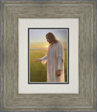 Load image into Gallery viewer, Light of The Son
