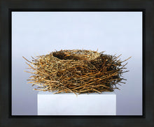 Load image into Gallery viewer, Nest
