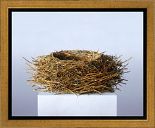 Load image into Gallery viewer, Nest
