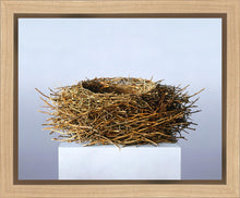 Load image into Gallery viewer, Nest

