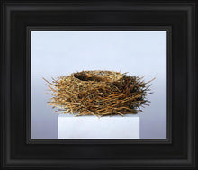 Load image into Gallery viewer, Nest
