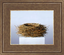 Load image into Gallery viewer, Nest
