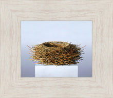 Load image into Gallery viewer, Nest
