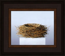 Load image into Gallery viewer, Nest
