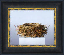 Load image into Gallery viewer, Nest
