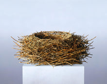 Load image into Gallery viewer, Nest
