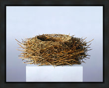 Load image into Gallery viewer, Nest
