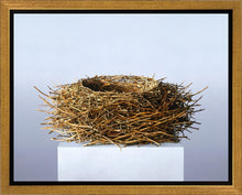 Load image into Gallery viewer, Nest
