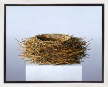 Load image into Gallery viewer, Nest
