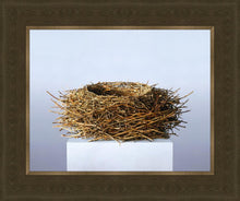 Load image into Gallery viewer, Nest
