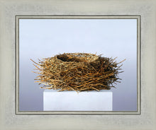 Load image into Gallery viewer, Nest
