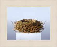 Load image into Gallery viewer, Nest

