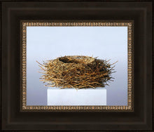 Load image into Gallery viewer, Nest
