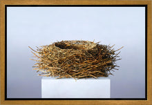 Load image into Gallery viewer, Nest
