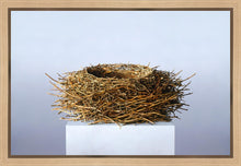 Load image into Gallery viewer, Nest

