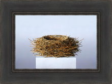 Load image into Gallery viewer, Nest

