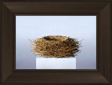 Load image into Gallery viewer, Nest
