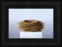 Load image into Gallery viewer, Nest
