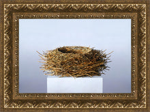 Load image into Gallery viewer, Nest
