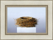 Load image into Gallery viewer, Nest
