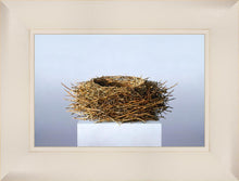 Load image into Gallery viewer, Nest
