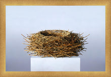 Load image into Gallery viewer, Nest
