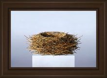 Load image into Gallery viewer, Nest
