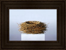 Load image into Gallery viewer, Nest
