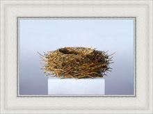 Load image into Gallery viewer, Nest
