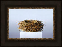 Load image into Gallery viewer, Nest
