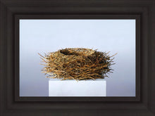 Load image into Gallery viewer, Nest
