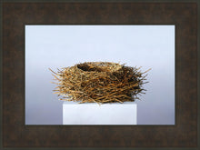 Load image into Gallery viewer, Nest

