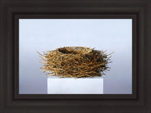 Load image into Gallery viewer, Nest
