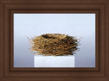 Load image into Gallery viewer, Nest
