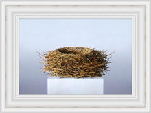 Load image into Gallery viewer, Nest
