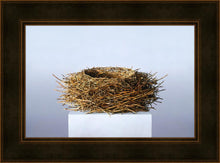 Load image into Gallery viewer, Nest
