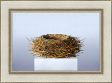 Load image into Gallery viewer, Nest
