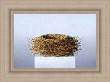 Load image into Gallery viewer, Nest
