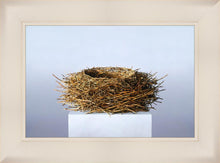 Load image into Gallery viewer, Nest
