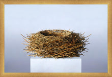 Load image into Gallery viewer, Nest
