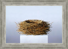 Load image into Gallery viewer, Nest
