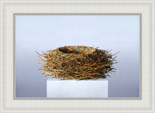Load image into Gallery viewer, Nest
