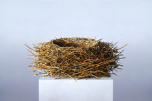 Load image into Gallery viewer, Nest
