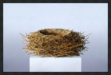 Load image into Gallery viewer, Nest
