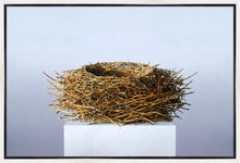Load image into Gallery viewer, Nest
