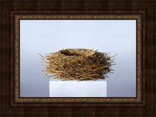 Load image into Gallery viewer, Nest
