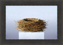 Load image into Gallery viewer, Nest
